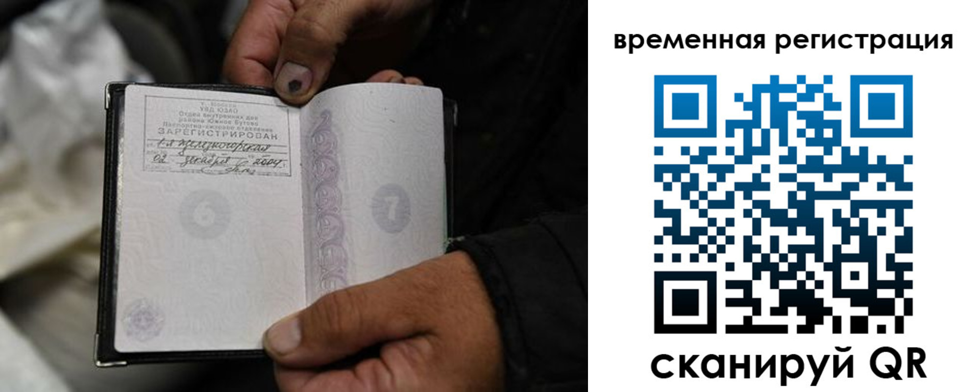прописка поиск в Фокино